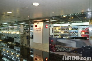 全方位攝影服務指南 從婚紗到家庭，捕捉每個珍貴瞬間